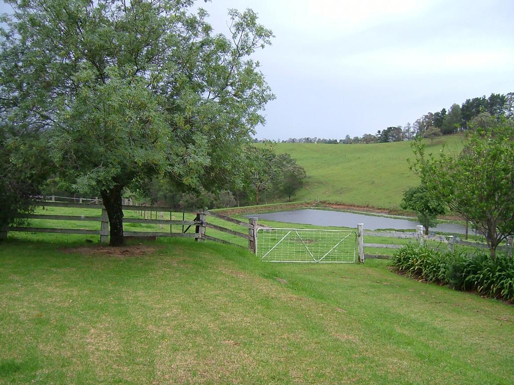 קוראג'ונג Hermitage Cottage מראה חיצוני תמונה