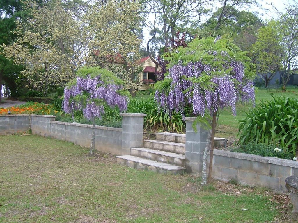 קוראג'ונג Hermitage Cottage מראה חיצוני תמונה